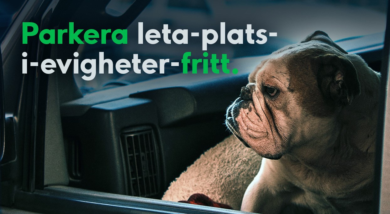 Text: Parkera leta-plats-i-evigheter-fritt. Background: Dog waiting in a car